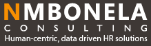 NMBonela Consulting Logo